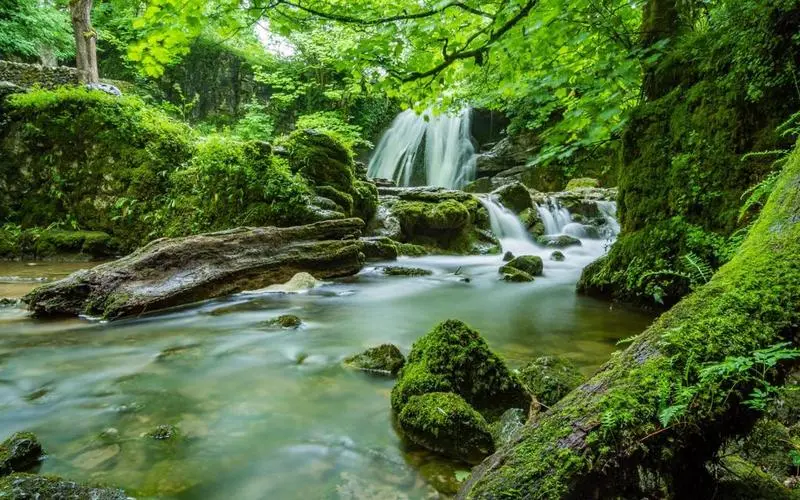 精密智能系统高端